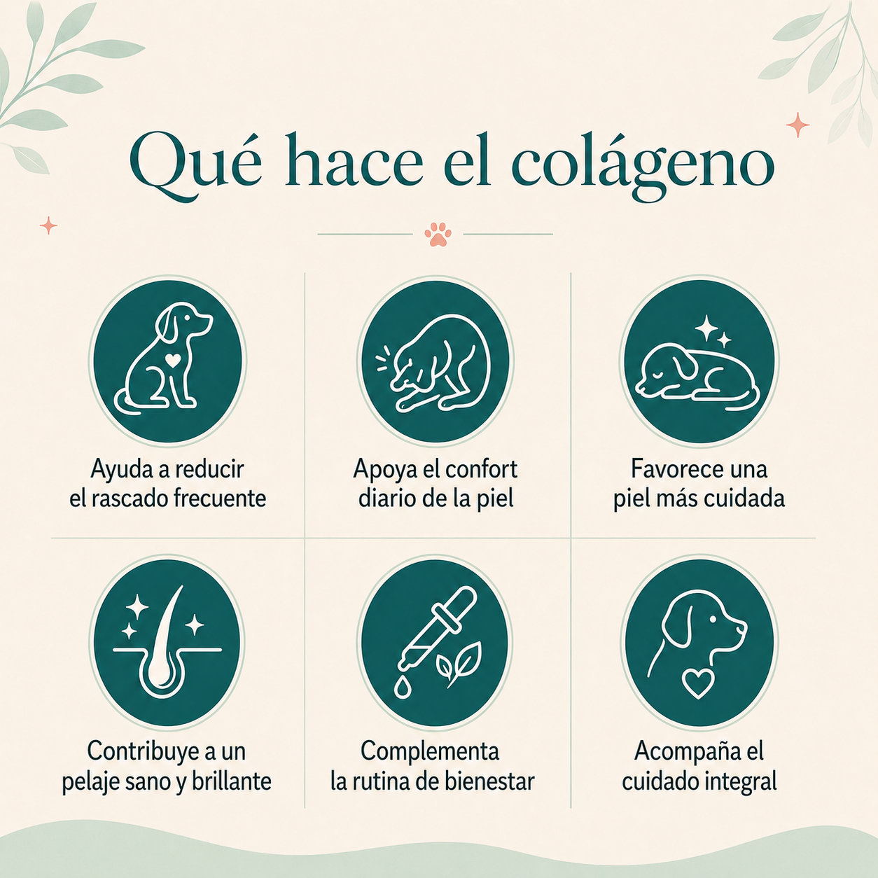 Colágeno LÍquido Regenerador - La fórmula natural recomendada por veterinarios