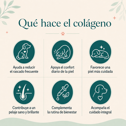 Colágeno LÍquido Regenerador - La fórmula natural recomendada por veterinarios