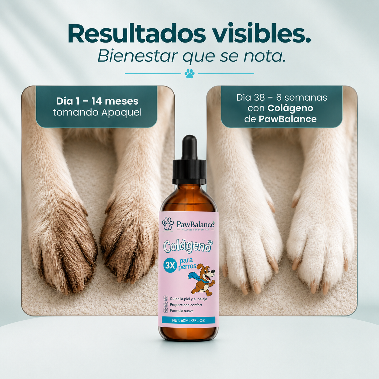 Colágeno LÍquido Regenerador - La fórmula natural recomendada por veterinarios