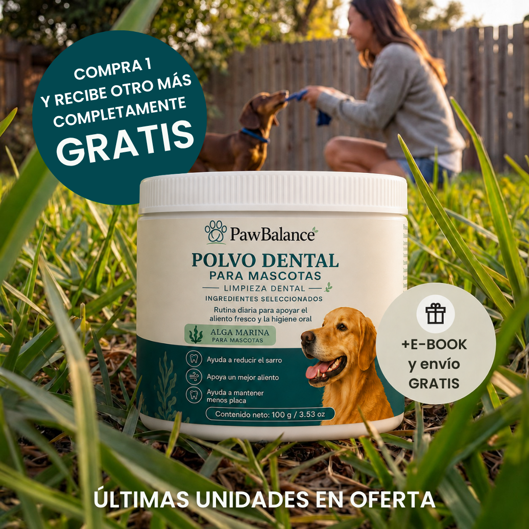 Polvo Dental Alimenticio: la forma más fácil de cuidar los dientes de tu mascota.
